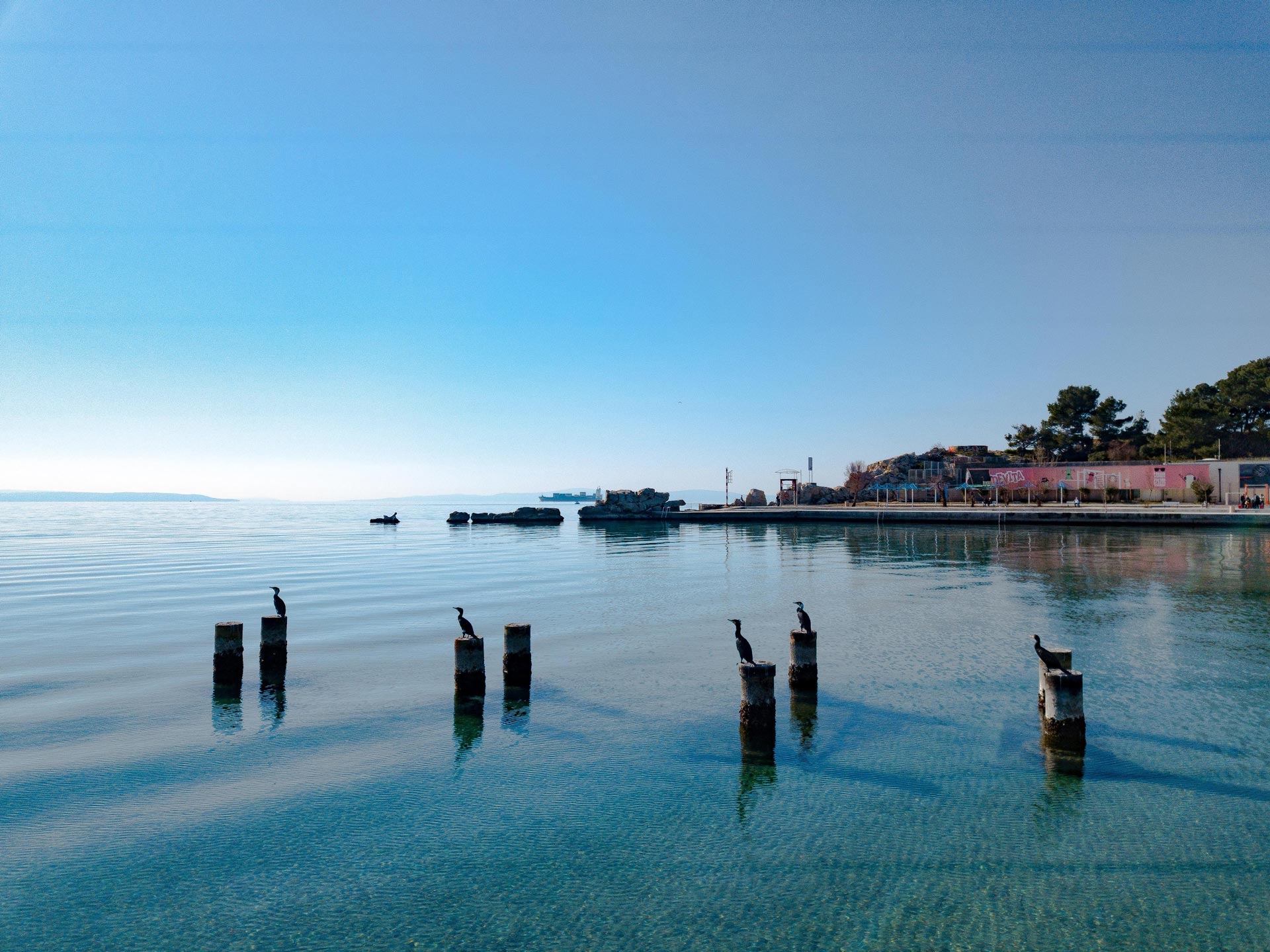 Divers On Bacvice Beach Split